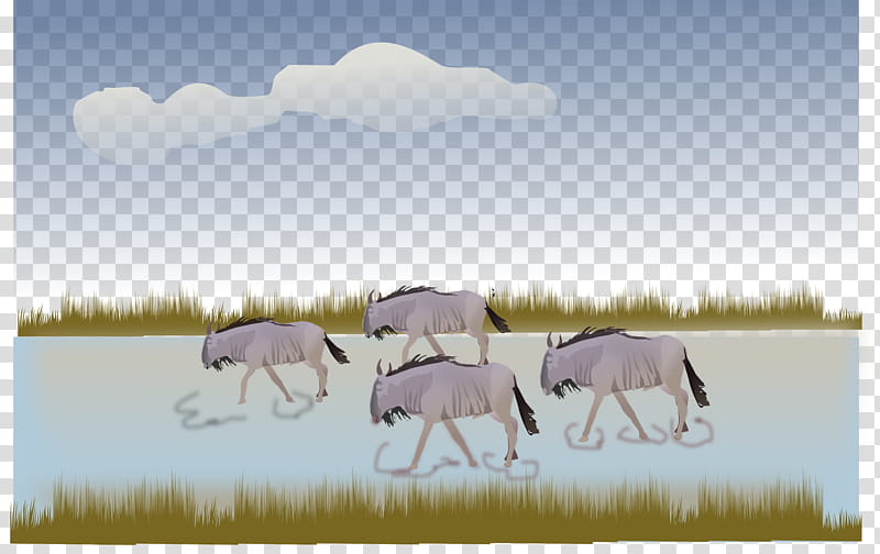 Elephant, Wildebeest, Horse, Stallion, African Elephant, Drawing, Rearing, Grassland transparent background PNG clipart
