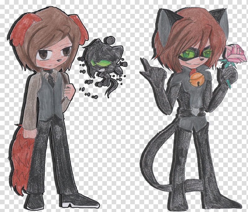 Ladybug PV, Akuma Cosplay Felix/Chat Noir transparent background PNG clipart