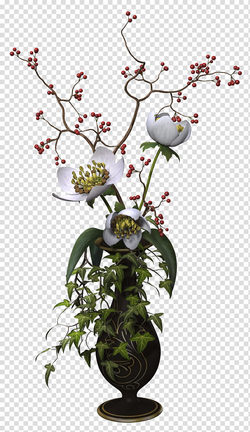 Vase, white flower centerpiece illustration transparent background PNG clipart