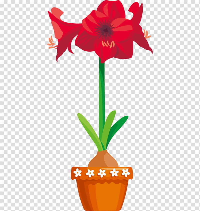 Flowers, Amaryllis, Garden, Houseplant, Flowerpot, Plants, Red, Cut Flowers transparent background PNG clipart