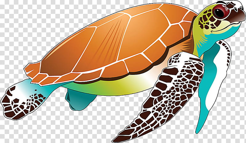 sea turtle green sea turtle turtle hawksbill sea turtle loggerhead sea turtle, Olive Ridley Sea Turtle, Reptile, Tortoise, Kemps Ridley Sea Turtle transparent background PNG clipart
