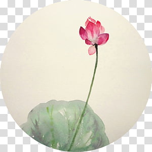 Watercolor Flower, Ink Wash Painting, Chinese Painting, Watercolor Painting, Sacred Lotus, Inkstick, Plant, Dishware transparent background PNG clipart thumbnail