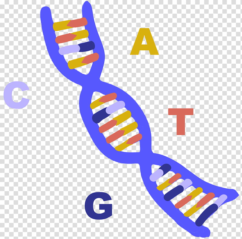 Chemistry, Rna, Indian Institute Of Technology Delhi, Nucleic Acid, Dna, Adna, Molecular Biology, Transcription transparent background PNG clipart