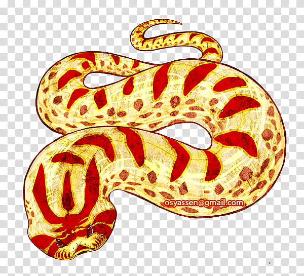 Snake, Hognose Snake, Snakes, Reptile, Western Hognose Snake, Green Anaconda, Boas, Yellow Anaconda transparent background PNG clipart