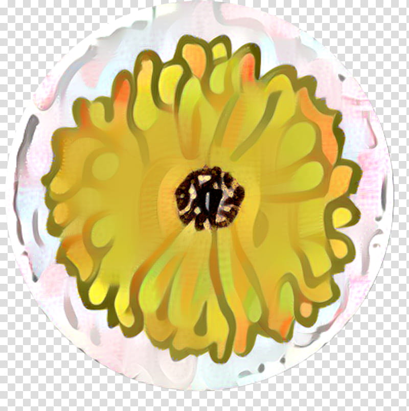 Flowers, Transvaal Daisy, Cut Flowers, Yellow, Petal, Sunflower, Orange, Zinnia transparent background PNG clipart
