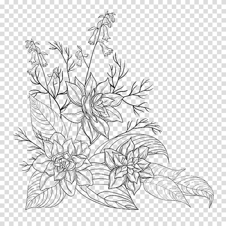 White Lily Flower, Drawing, Flower Bouquet, Line Art, Leaf, Plant, Coloring Book, Pedicel transparent background PNG clipart