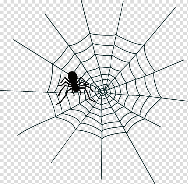 spider web halloween, Halloween , White, Line, Blackandwhite, Symmetry transparent background PNG clipart