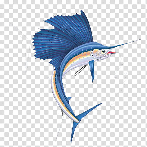 Fish, Atlantic Blue Marlin, Swordfish, Indopacific Sailfish, Drawing, Logo, Striped Marlin transparent background PNG clipart