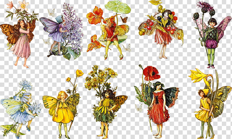 Vintage Faeries , assorted fairy illustration transparent background PNG clipart