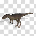 SPORE Dinosaurs Tyrannosaurus Baby, black dinosaur plastic toy transparent background PNG clipart
