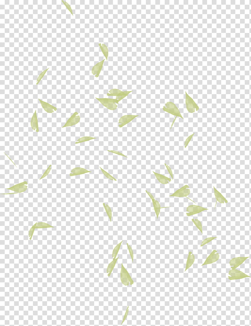 Green Grass, Leaf, Color, Spring Green, Forest Green, White, Branch, Line transparent background PNG clipart