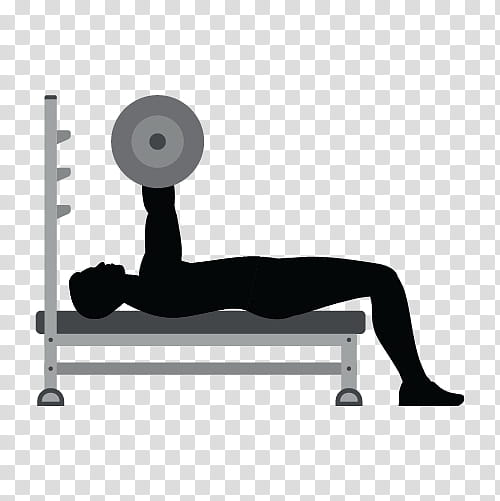 Fitness, Bench Press, Exercise, Powerlifting, Pectoralis Major, Muscle, Exercise Equipment, Physical Fitness transparent background PNG clipart