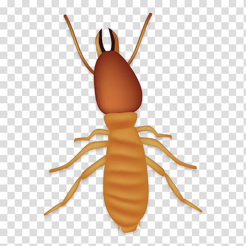 Larva, Insect, Sentricon, Pest, Pest Control, Ant, Cockroach, Exterminator transparent background PNG clipart