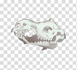 restart, gray dinosaur head skeleton illustration transparent background PNG clipart