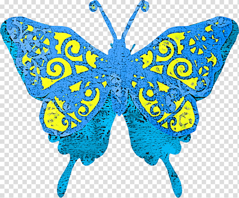 butterfly blue moths and butterflies insect common blue, Symmetry, Pollinator, Lycaenid, Wing transparent background PNG clipart