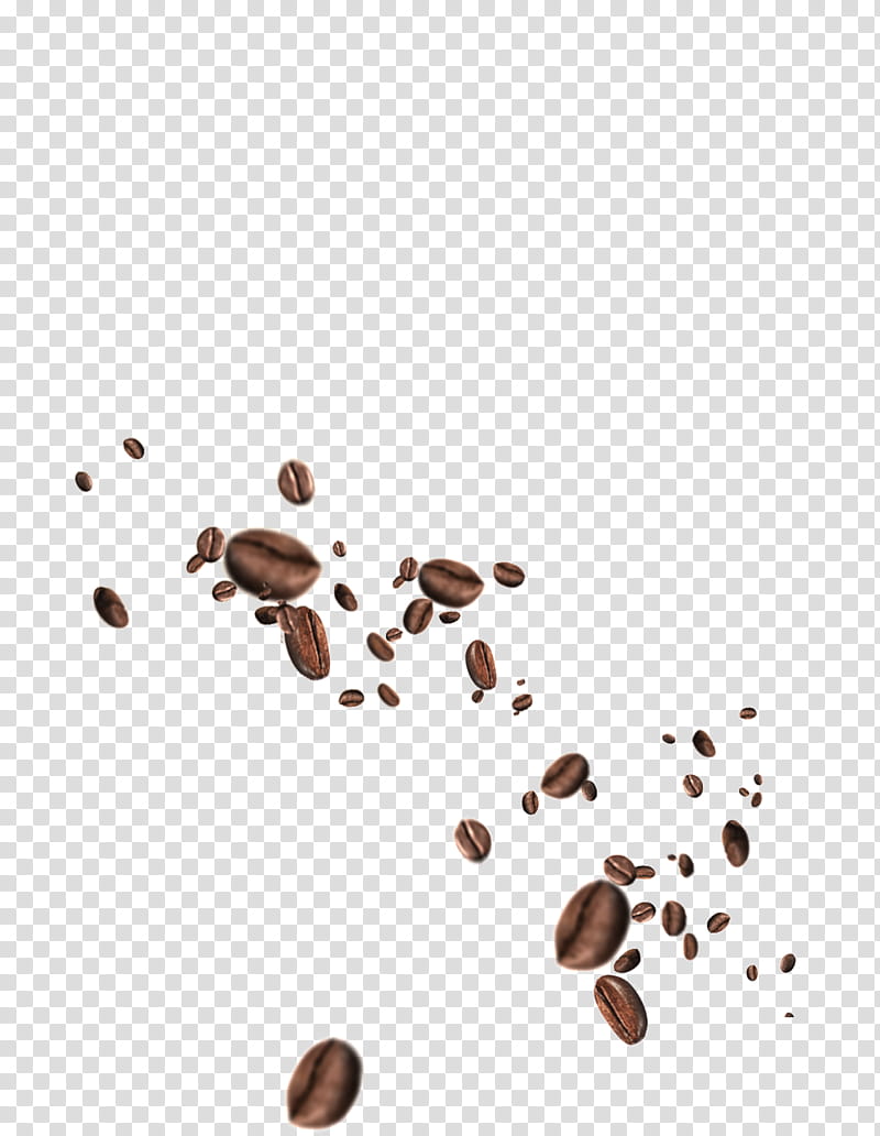 Espresso Plant, Coffee, Tea, Tamper, Coffee Bean, Mug, Coffeemaker, Brewed Coffee transparent background PNG clipart
