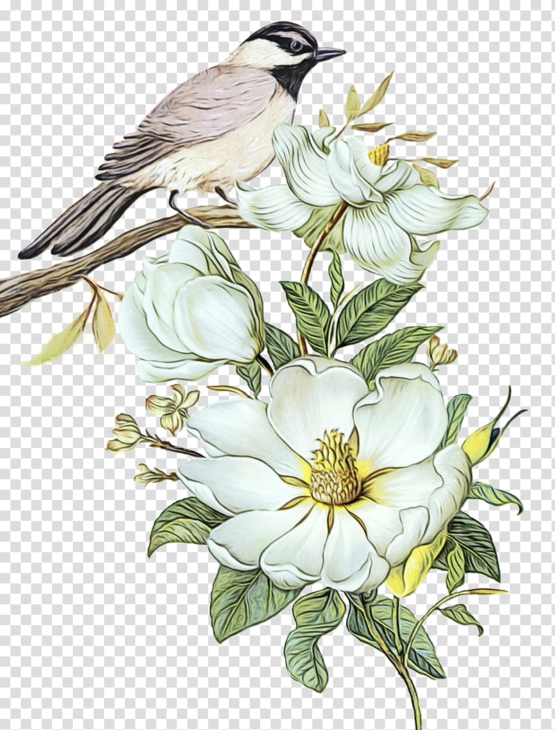 Oil Painting Flower, Floral Design, Mobile Phones, Blackview, Bird, Plant, Perching Bird, Mock Orange transparent background PNG clipart