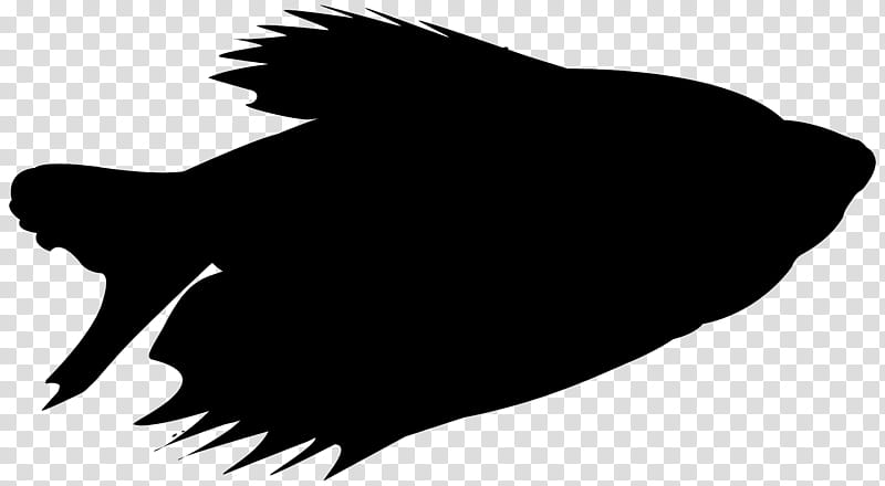 Bird Silhouette, Black White M, Beak, Snout, Black M, Wing, Fish, Flatfish transparent background PNG clipart