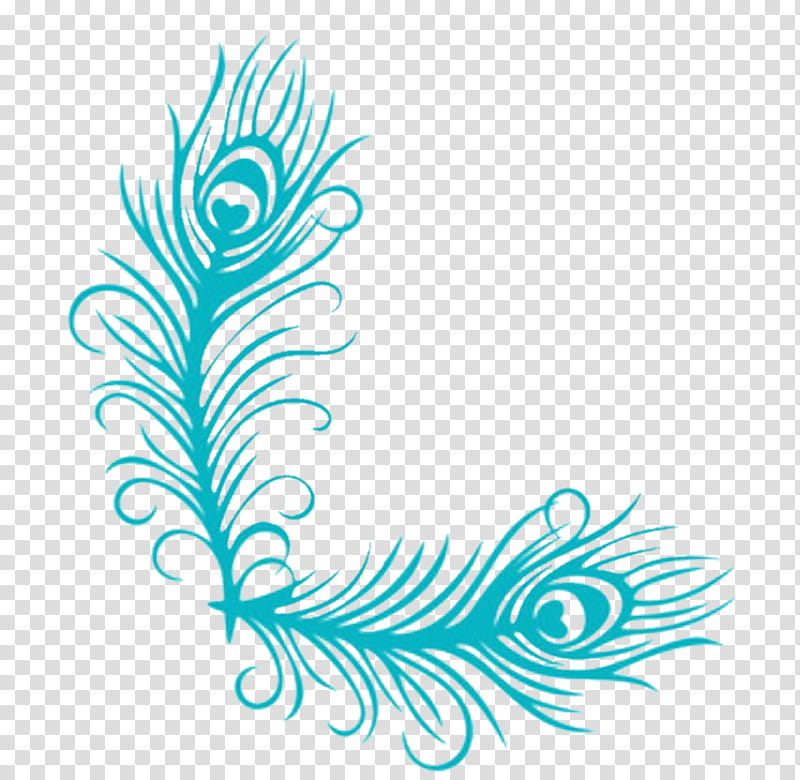 Black And White Flower, Feather, Decal, Sticker, Peafowl, Feather Peacock, Bird, Ornament transparent background PNG clipart