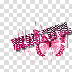 Super de recursos, pink and black beautiful butterfly transparent background PNG clipart