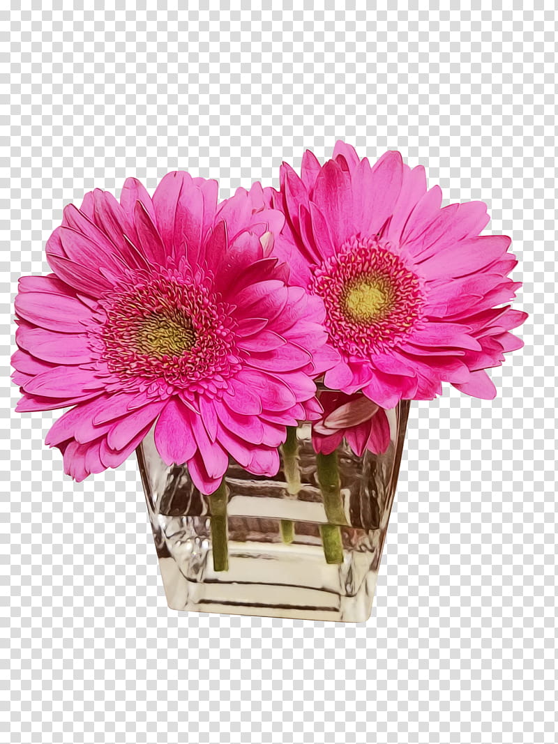 Pink Flowers, Transvaal Daisy, Cut Flowers, Floral Design, Chrysanthemum, Flower Bouquet, Artificial Flower, Daisy Family transparent background PNG clipart