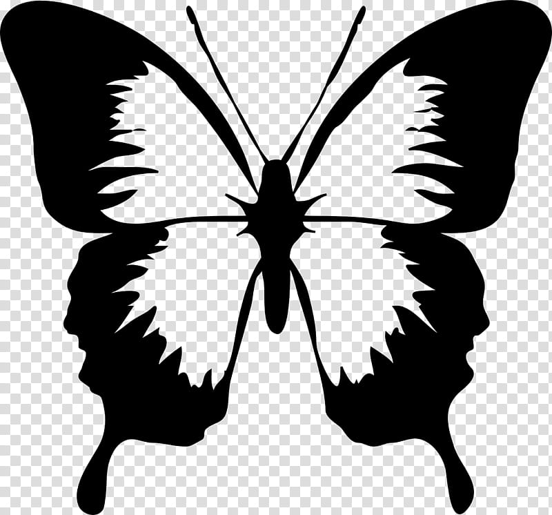 Butterfly, Tattoo , Drawing, Monarch Butterfly, Document, Silhouette, Cartoon, Moths And Butterflies transparent background PNG clipart