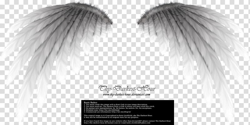 Simplistic Wing Silver, white wings illustration transparent background PNG clipart