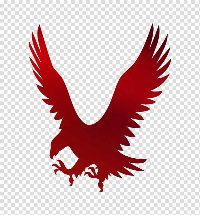 Mascot Logo, Hawk, Eagle, Drawing, Falcon, Red, Bird, Golden Eagle transparent background PNG clipart