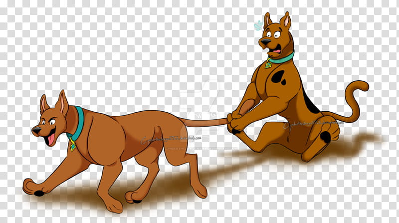 Cat And Dog, Scrappydoo, Scoobert 