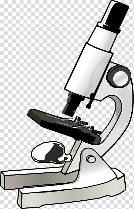 Microscope, Optical Microscope, Microscope Lab, Biology, Cell, Laboratory, Optics, Science transparent background PNG clipart