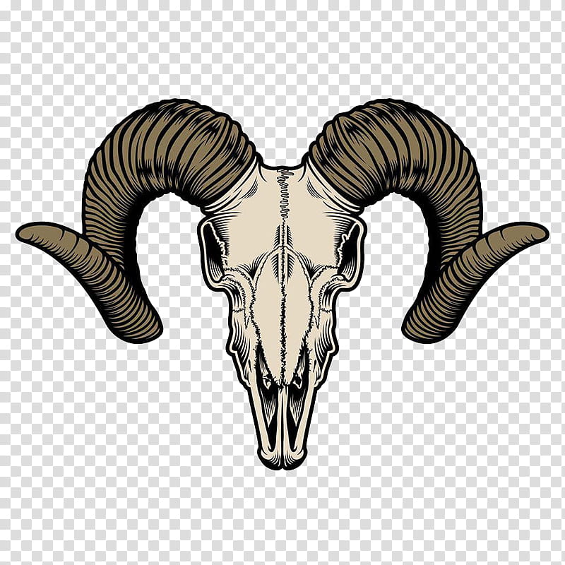 Drawing Of Family, Goat, Skull, Horn, Head, Bone, Goats, Neck transparent background PNG clipart