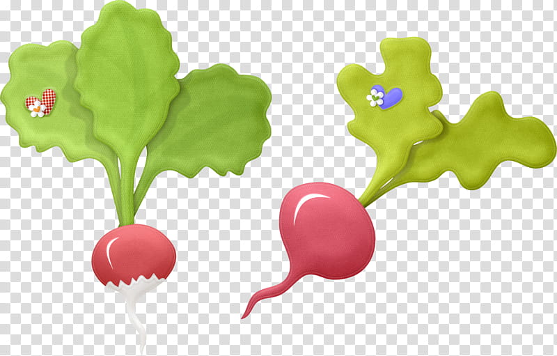 Vegetable, Garden Radish, Drawing, Raphanus Raphanistrum Subsp Sativus, Beetroots, Food, Chard, Fruit transparent background PNG clipart