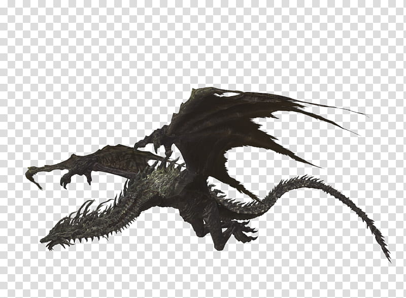 Lotric Wyverns, gray dragon D illustration transparent background PNG clipart
