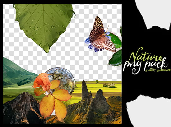 Nature, brown fritillary butterfly illustration transparent background PNG clipart