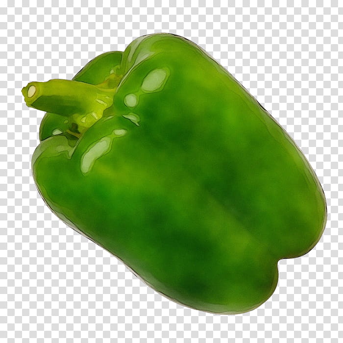 bell pepper pimiento green bell pepper green bell peppers and chili peppers, Watercolor, Paint, Wet Ink, Capsicum, Paprika, Vegetable, Plant transparent background PNG clipart
