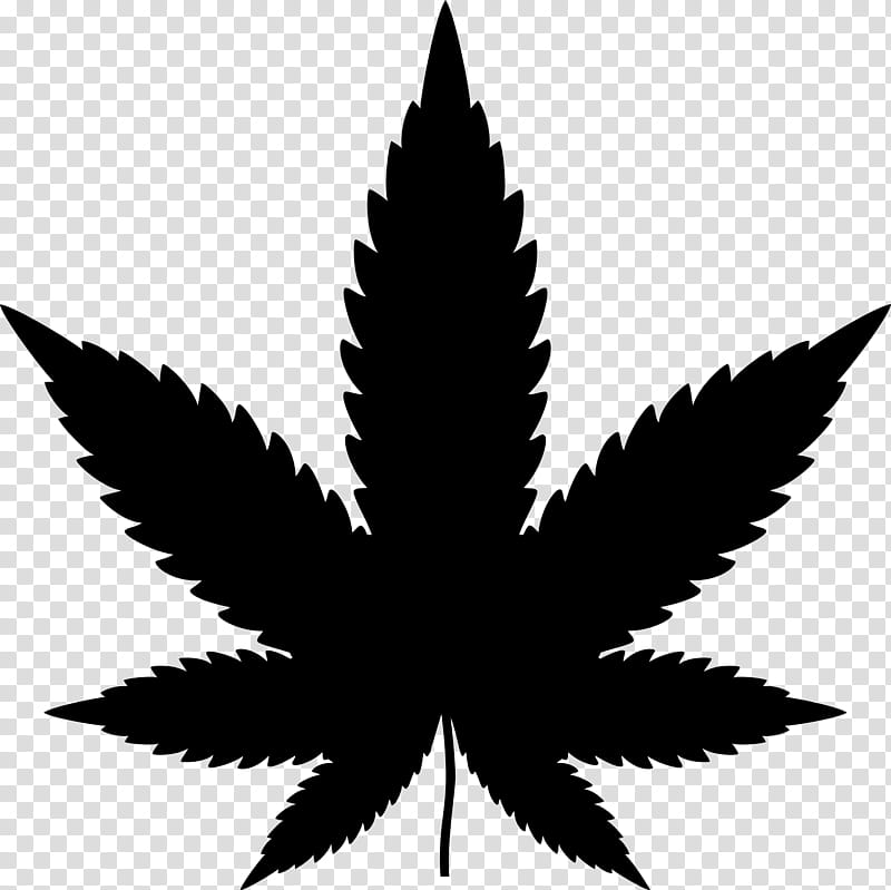 Cannabis Leaf, Cannabis Sativa, Hemp, Silhouette, Medical Cannabis, 420 Day, Plant, Hemp Family transparent background PNG clipart
