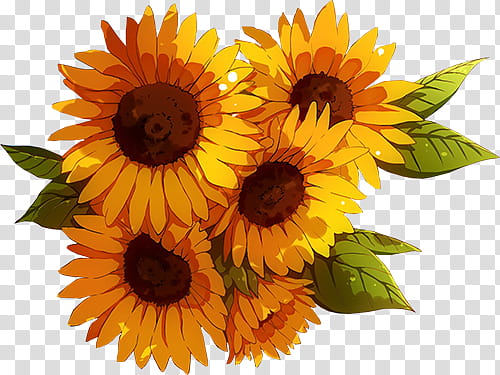 Field Sunflowers Girl Umbrella Anime Art #6964627