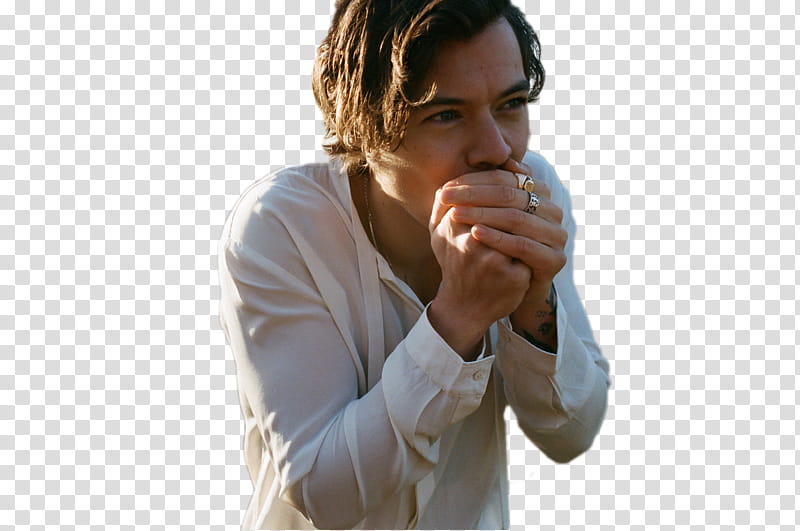 Harry Styles DulceEditions transparent background PNG clipart