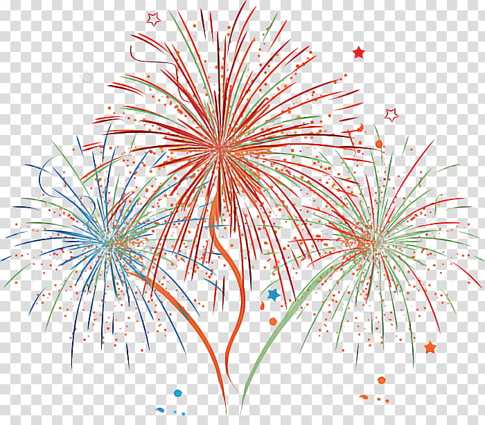 fireworks line event holiday recreation, Circle, Plant, Graphic Design transparent background PNG clipart