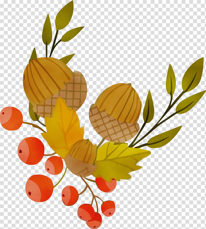 leaf plant tree branch fruit, Autumn, Acorns, Leaves, Watercolor, Paint, Wet Ink, Flower transparent background PNG clipart