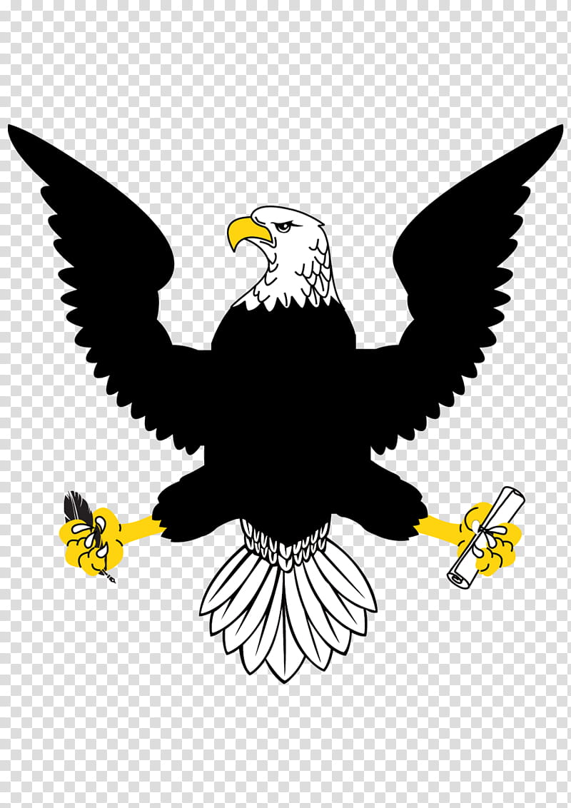 Eagle Logo, Bald Eagle, Drawing, Silhouette, Bird, Bird Of Prey, Golden Eagle, Accipitridae transparent background PNG clipart