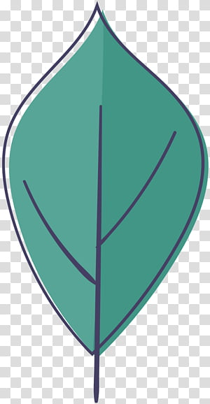 Leaf Symbol, Angle, Line, Triangle transparent background PNG clipart thumbnail