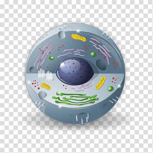 School Board, Biology, Science, Human Biology, Chemistry, Education
, Cell, Android transparent background PNG clipart