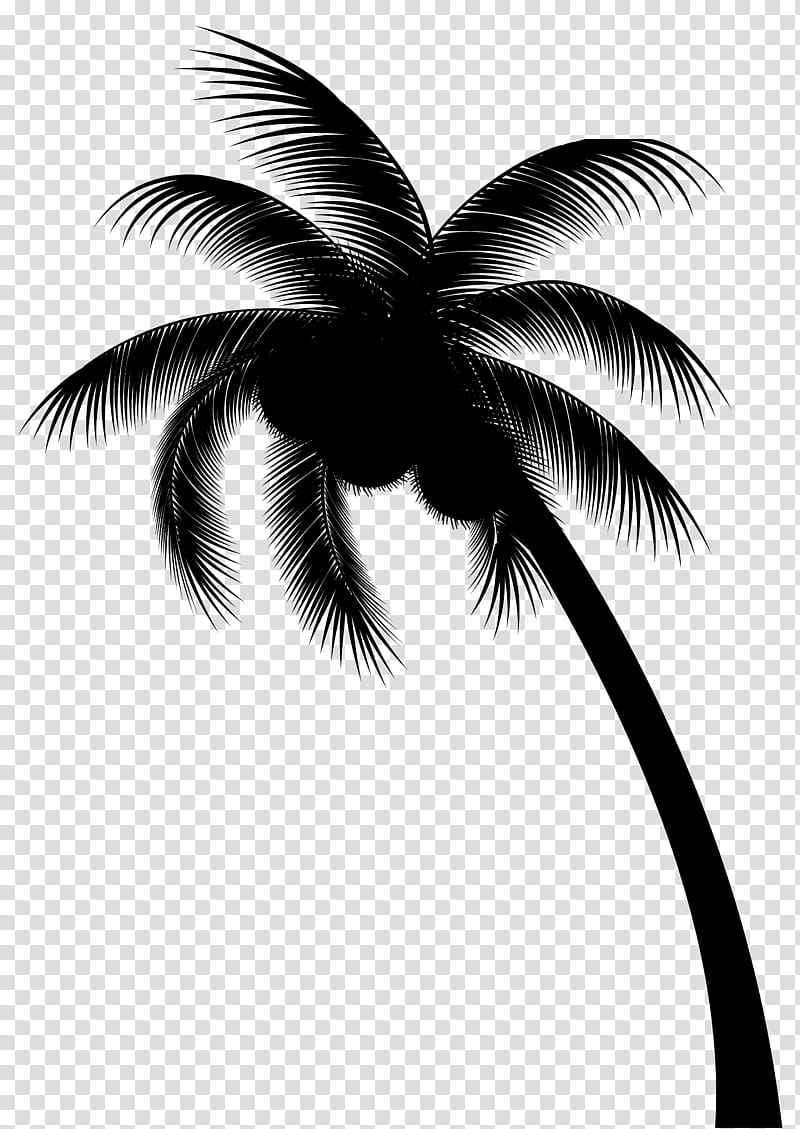 Coconut Tree, Palm Trees, 2018, Zouk, Facebook, Sticker, Decal, June 26 transparent background PNG clipart