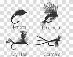 https://p1.hiclipart.com/preview/868/656/893/cartoon-rainbow-fly-fishing-fly-tying-trout-dry-fly-fishing-trout-fly-patterns-trout-flies-proven-patterns-recreational-fishing-png-clipart-thumbnail.jpg
