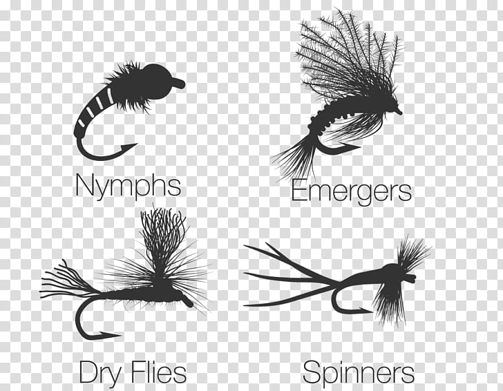 Dry Fly Fishing PNG and Dry Fly Fishing Transparent Clipart Free