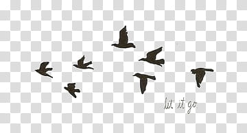 FILES, flock of flying birds silhouette illustration transparent background PNG clipart