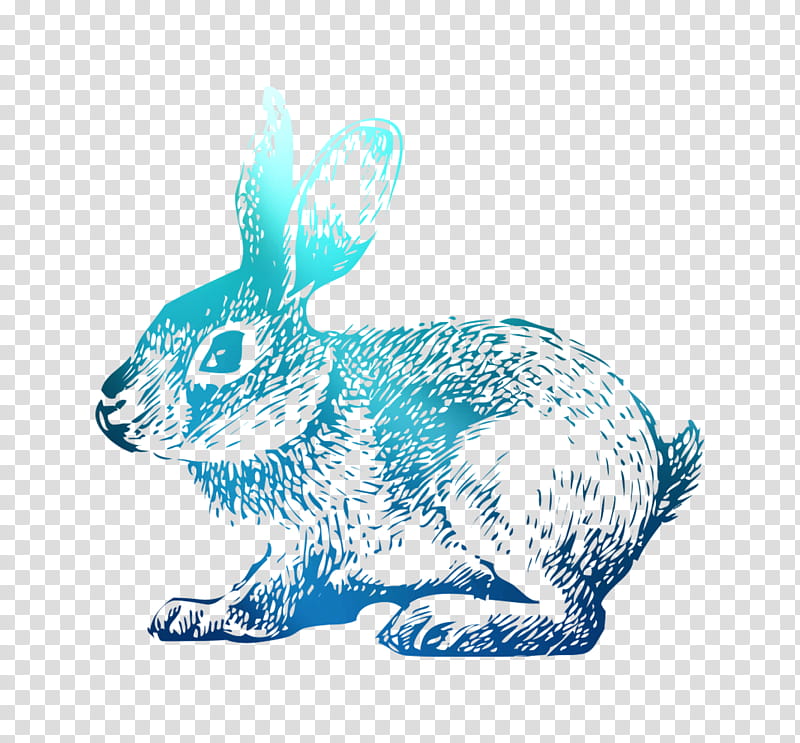 Easter Bunny, Tshirt, Rabbit, Hoppy Easter, Drawing, Easter
, Cuteness, Child transparent background PNG clipart