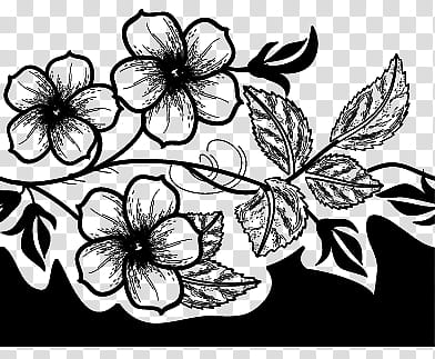 Decorative Borders Brushes, of flowers transparent background PNG clipart