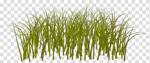 Various Garden Items , green grass illustration transparent background PNG clipart